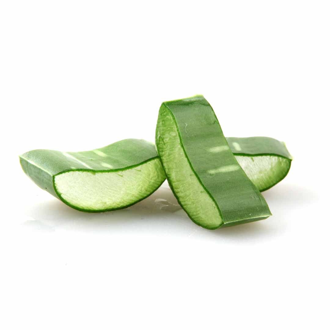 hushhush-plant-your-day-koostis-aloe-vera-leht