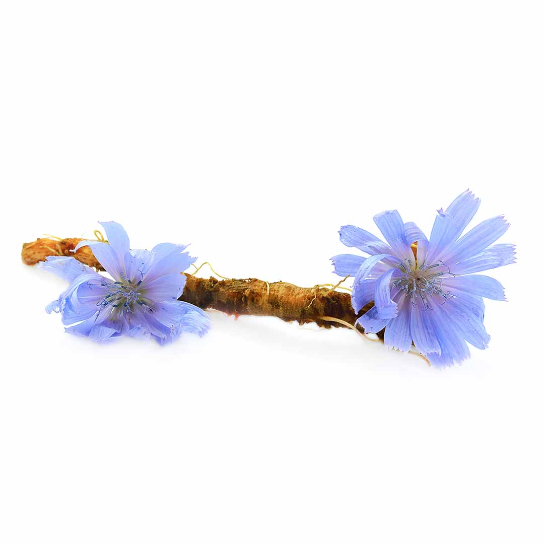 hushhush-plant-your-day-koostis-inuliin