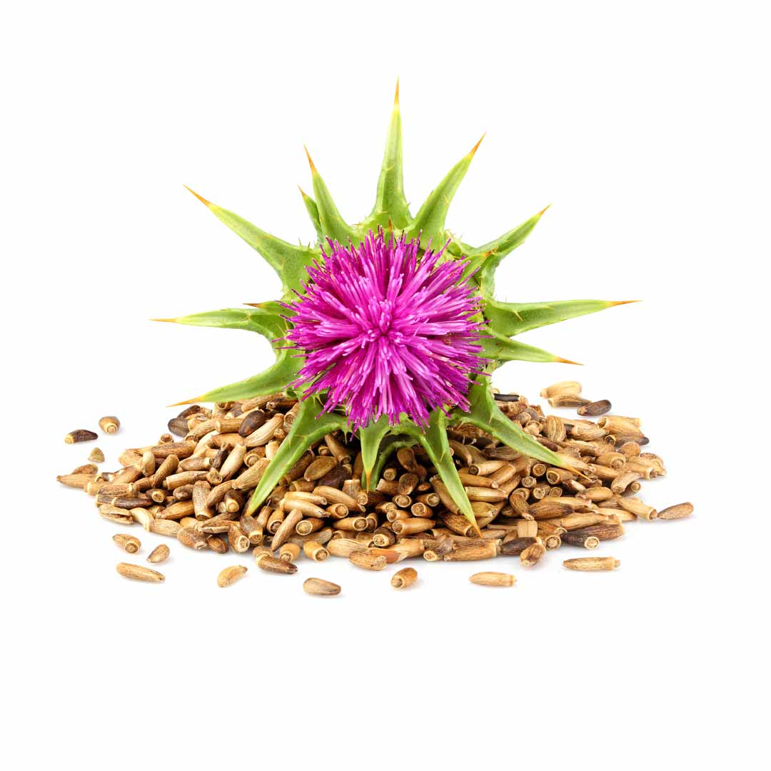 hushhush-plant-your-day-koostis-piimohaka-seeme
