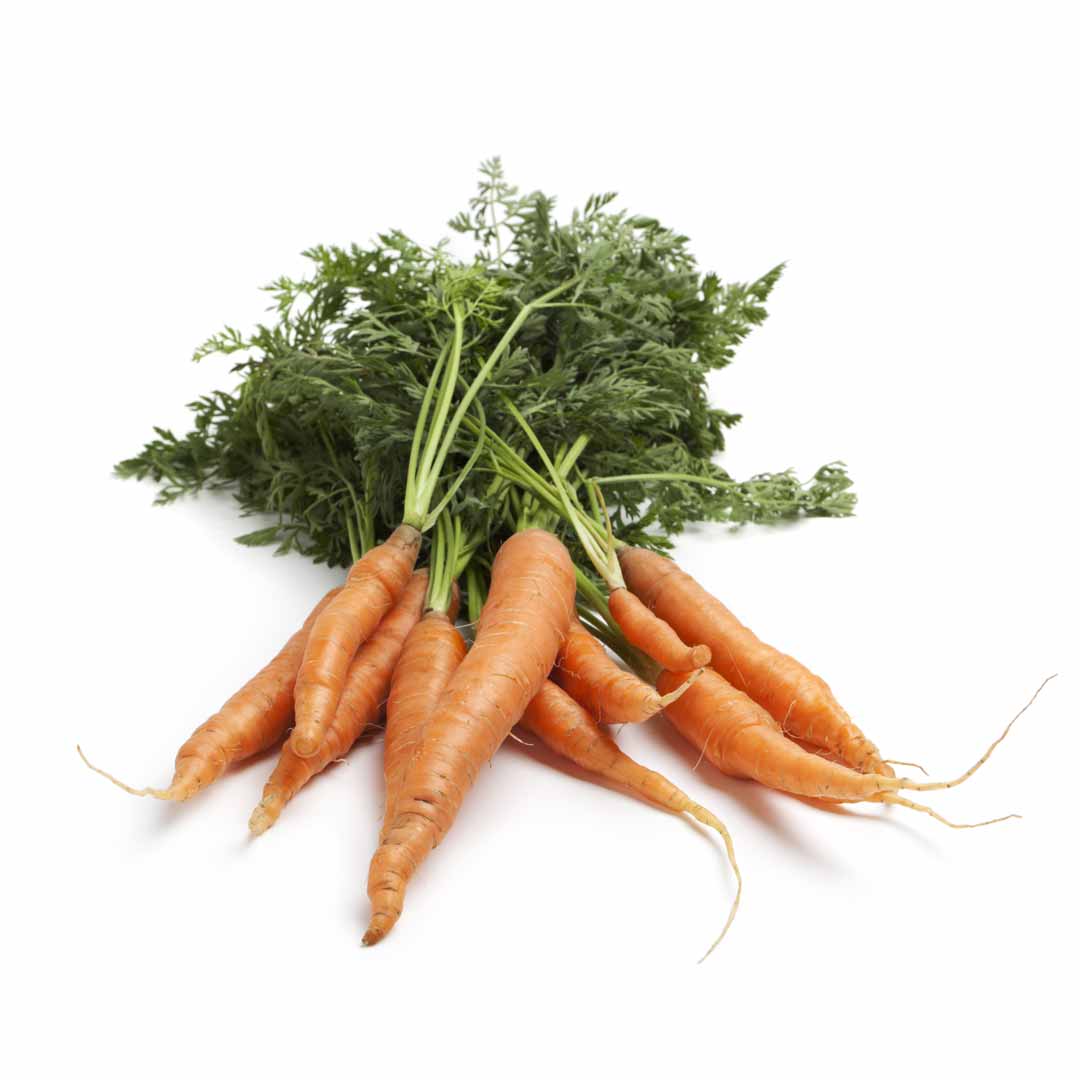 hush&hush-time-capsule-koostis-a-vitamiin